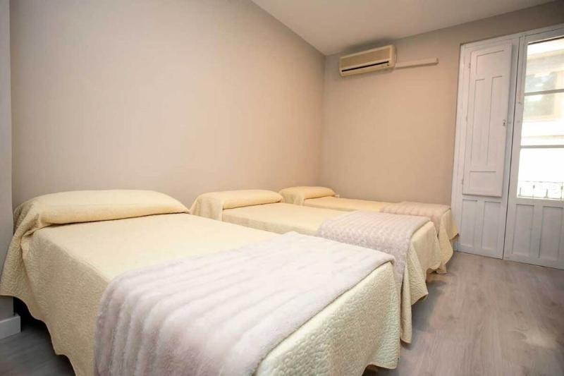 Hotel Hostal Viena Plaza Nueva