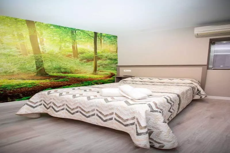هتل Hostal Viena Plaza Nueva