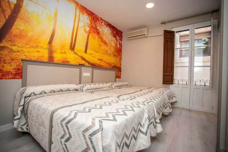 هتل Hostal Viena Plaza Nueva