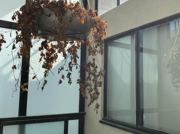 Пансион Casa Londres