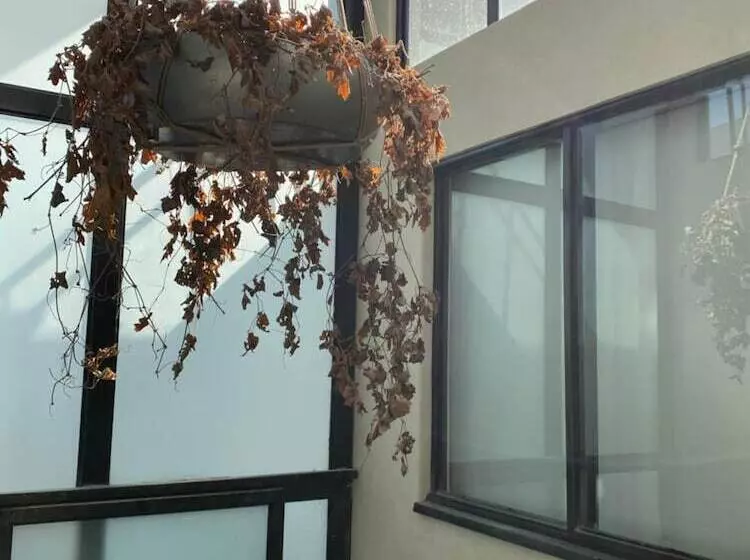 پانسیون Casa Londres