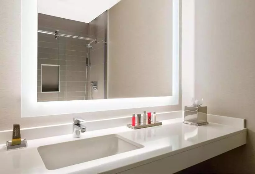 Wyndham Atlanta Buckhead Hotel & Conference Center