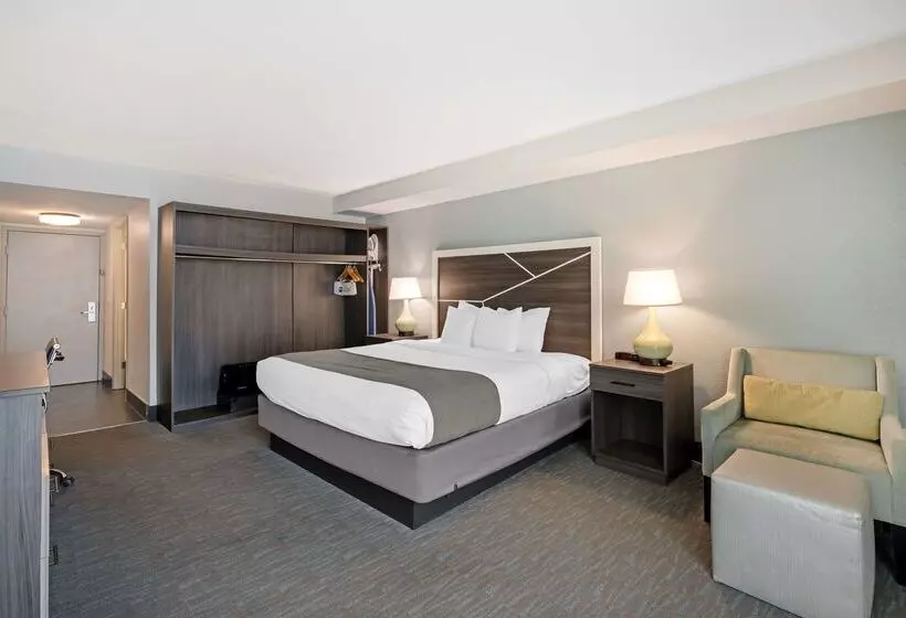 Hotel Best Western Plus Daytona Inn Seabreeze