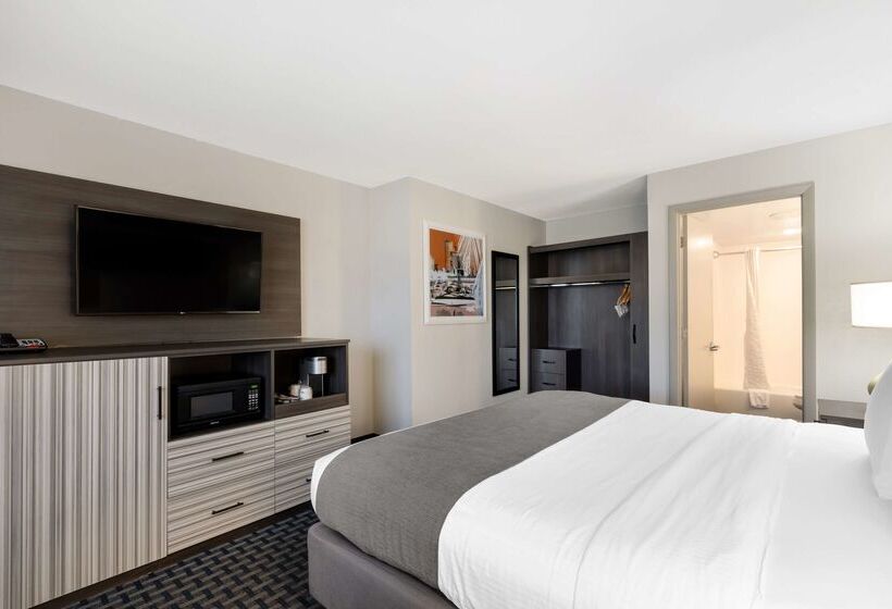 فندق Best Western Plus Daytona Inn Seabreeze