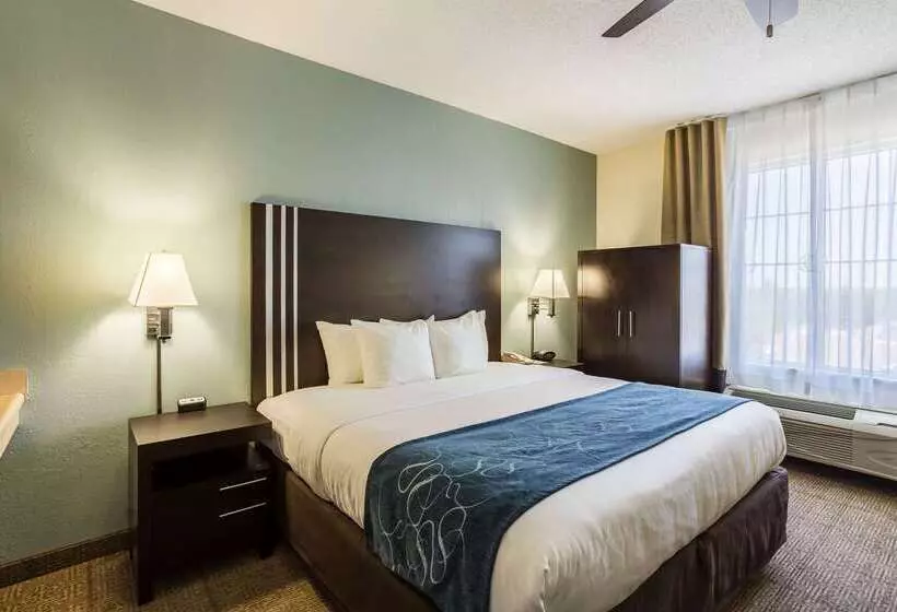 호텔 Comfort Suites New Orleans East