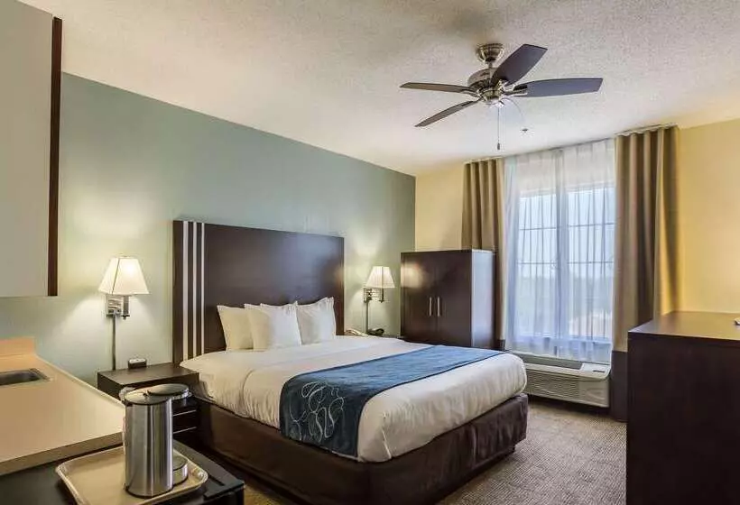 호텔 Comfort Suites New Orleans East