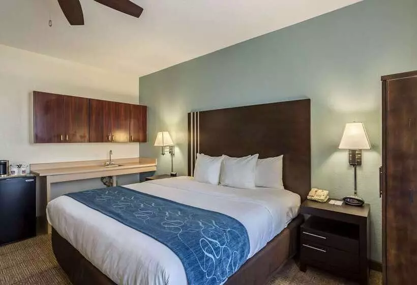 호텔 Comfort Suites New Orleans East