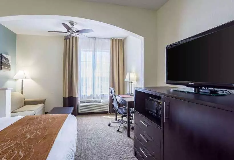 호텔 Comfort Suites New Orleans East