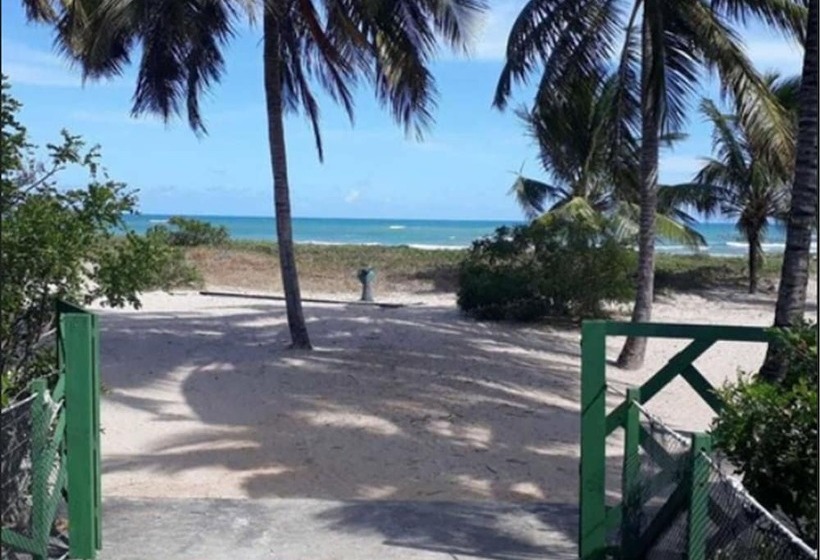 ホテル D Anatureza