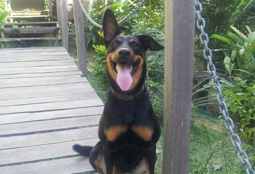 Hotel The Last Frontier Boutique Resort