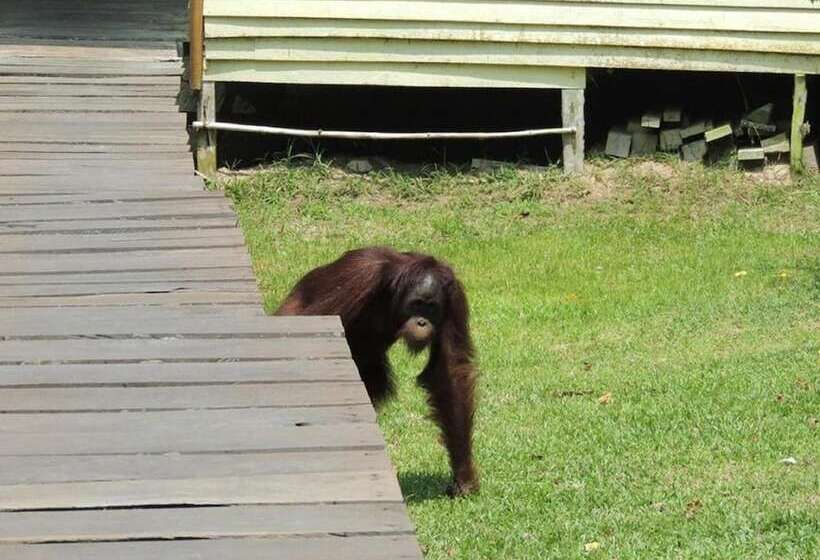 Hotel The Last Frontier Boutique Resort