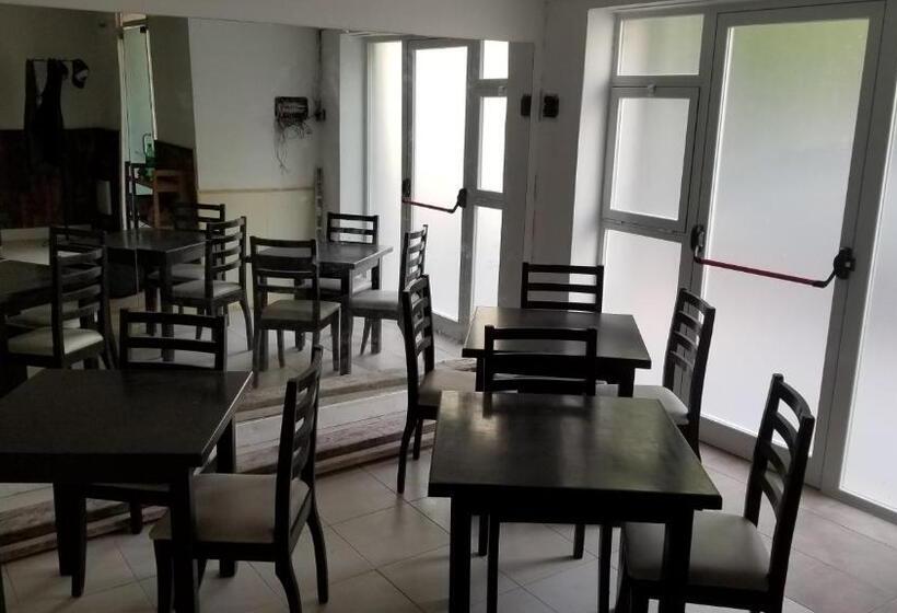 پانسیون Hostel Brown