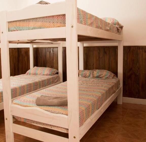 پانسیون Hostel Brown