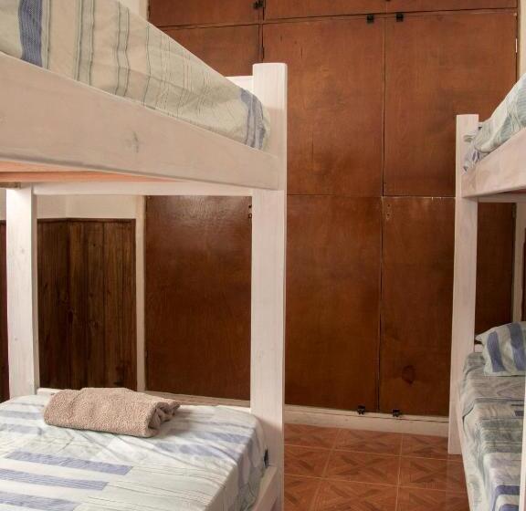 پانسیون Hostel Brown