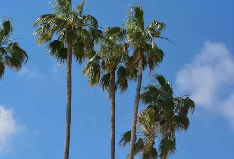 ホテル Ath Hôtel Athénée