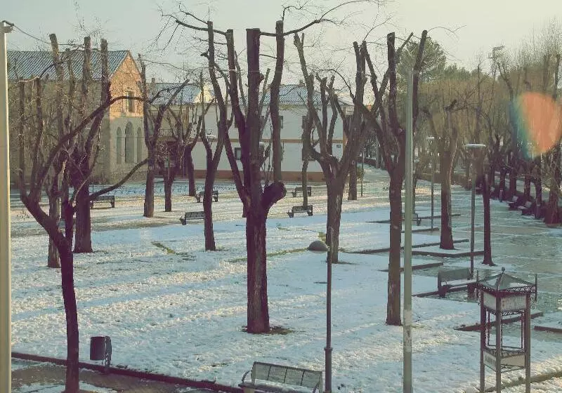 Отель Dona Manuela