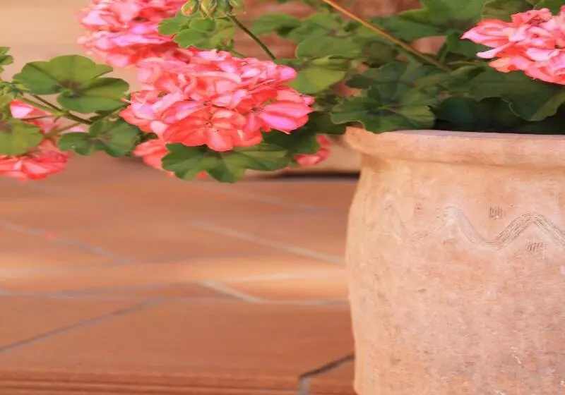 Отель Dona Manuela