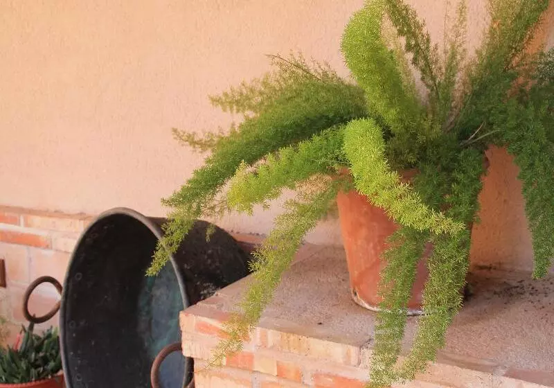 Отель Dona Manuela