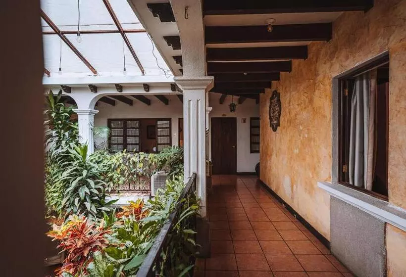 هتل El Carmen