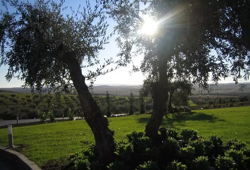 בית מלון כפרי Spa Villa Nazules