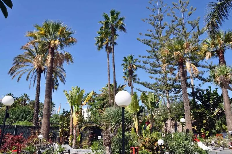 Bungalows San Valentín & Terraflor Park