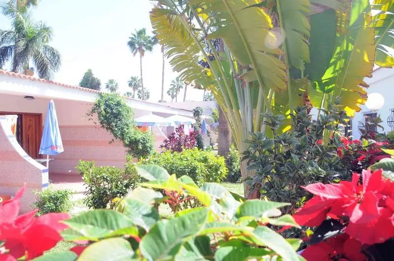 Bungalows San Valentín & Terraflor Park