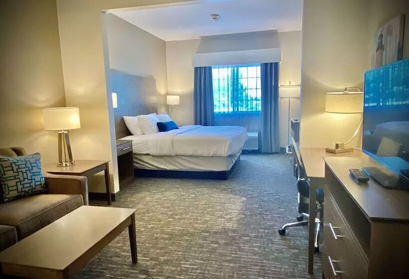 ホテル Best Western Brockport Inn & Suites