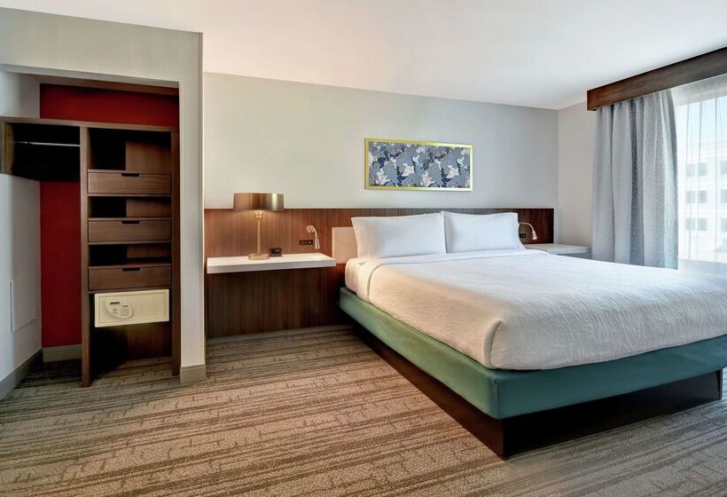 هتل Hilton Garden Inn Houston/galleria Area