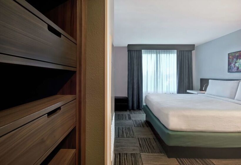 هتل Hilton Garden Inn Houston/galleria Area