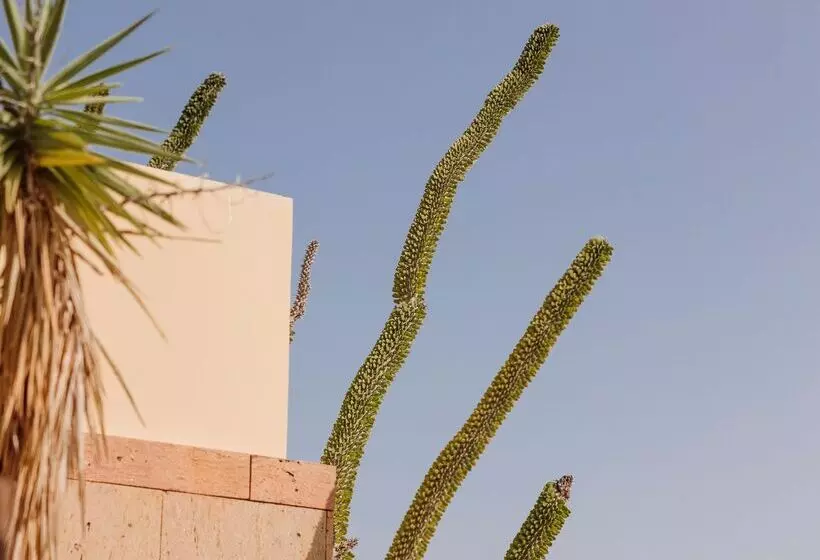 Salobre Hotel Resort & Serenity