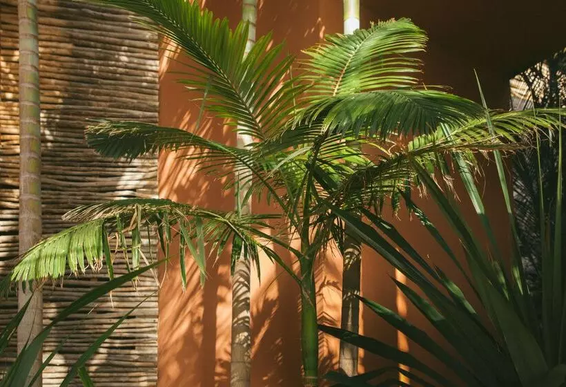 Salobre Hotel Resort & Serenity