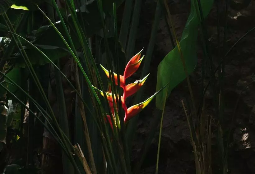 Salobre Hotel Resort & Serenity