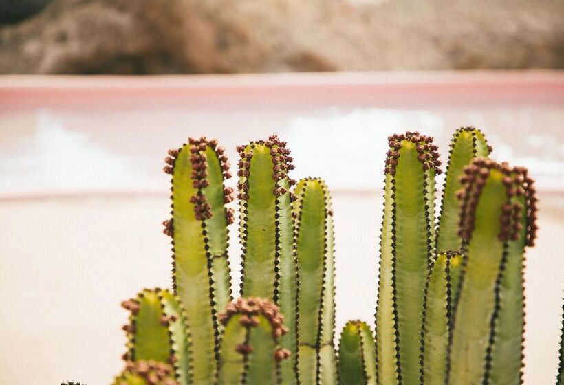 Salobre Hotel Resort & Serenity