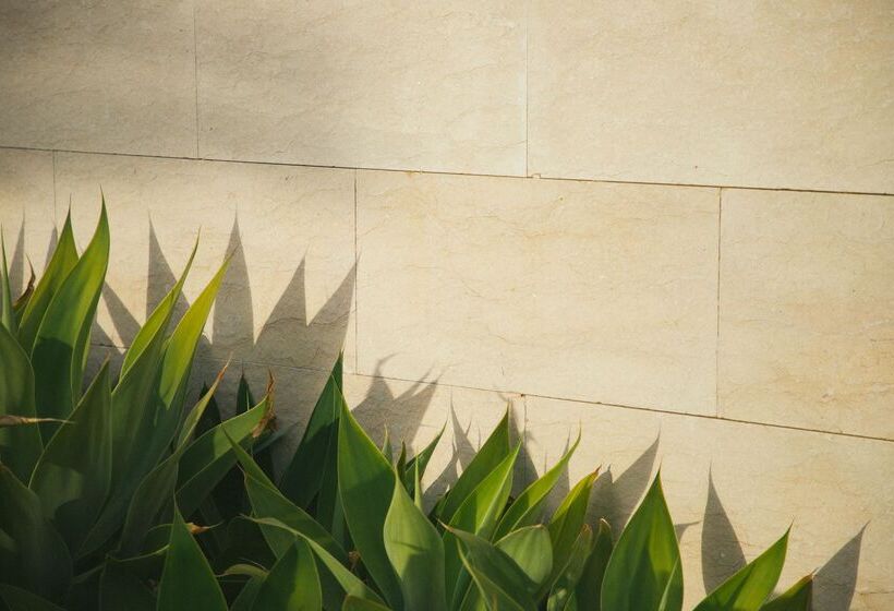 Salobre Hotel Resort & Serenity