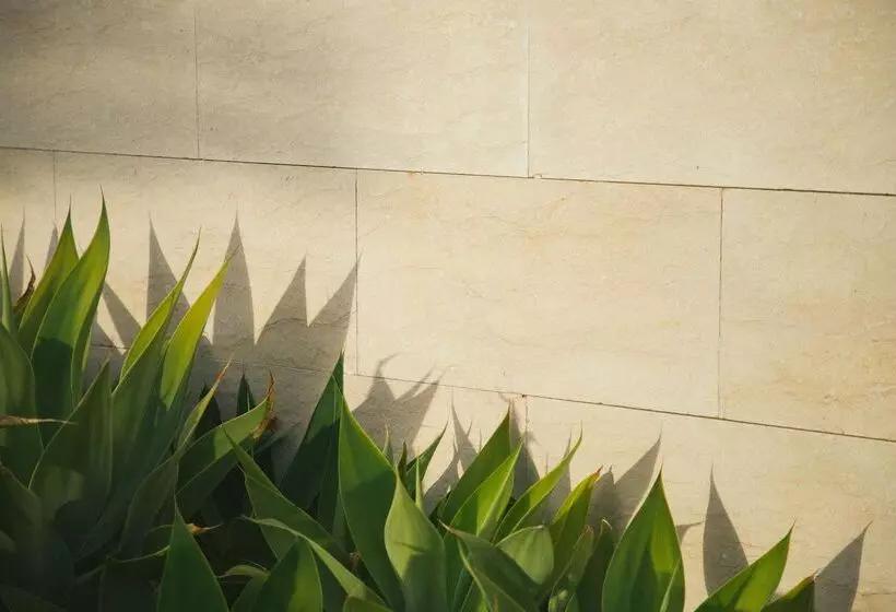 Salobre Hotel Resort & Serenity