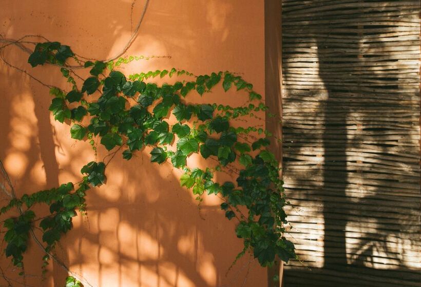 Salobre Hotel Resort & Serenity