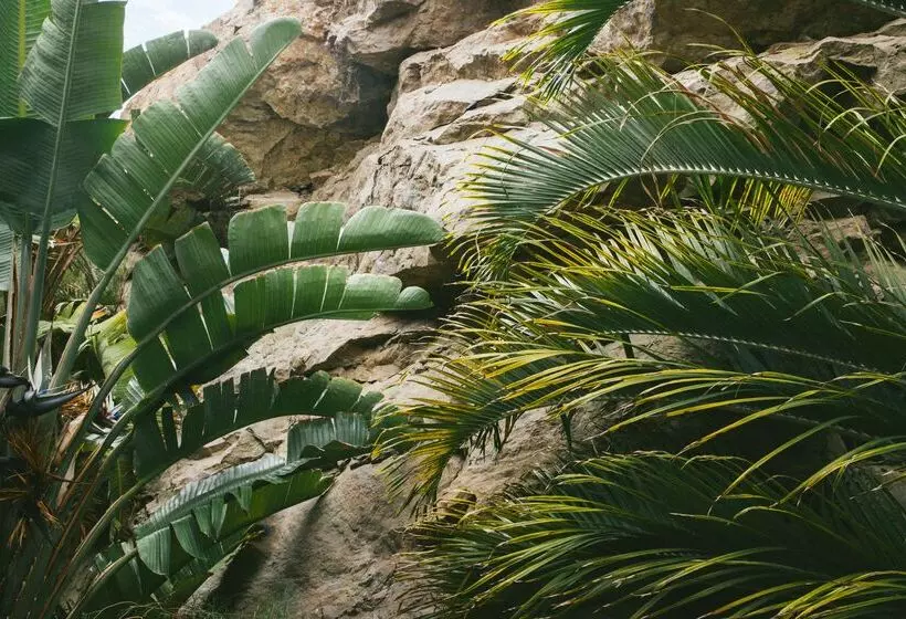 Salobre Hotel Resort & Serenity