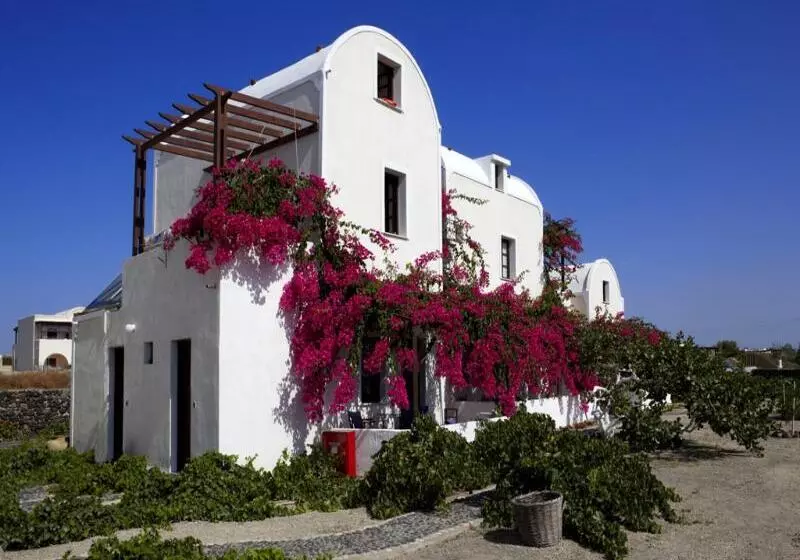 호텔 Anna Apartments