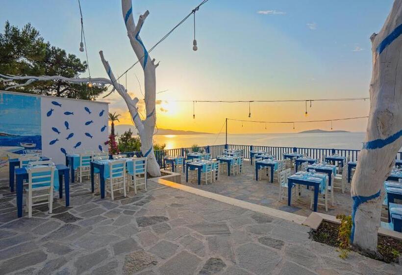 هتل Blue Dreams Resort Bodrum Ultra All Inclusive