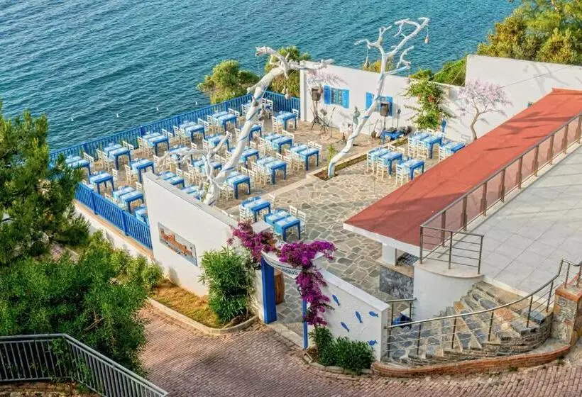 ホテル Blue Dreams Resort Bodrum Ultra All Inclusive