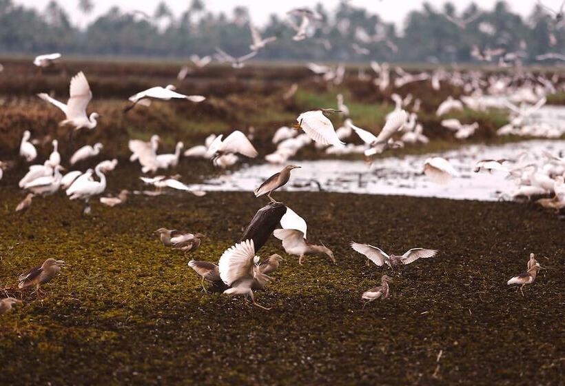 Hotelli Coconut Lagoon Kumarakom  A Cgh Earth Experience