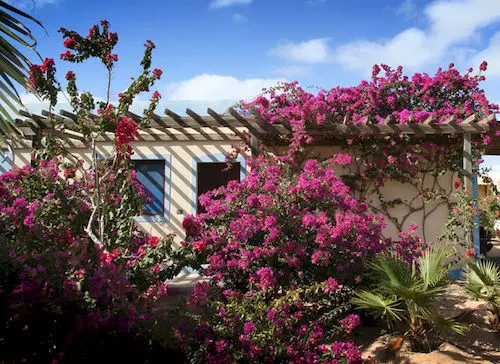 Hotel Parque Das Dunas Village