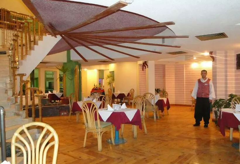 هتل Sharm Holiday Resort