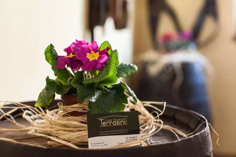 בית מלון כפרי Terrasini 2000 Case Vacanza