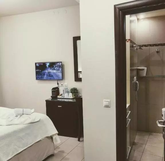 هتل The Manessi City Boutique