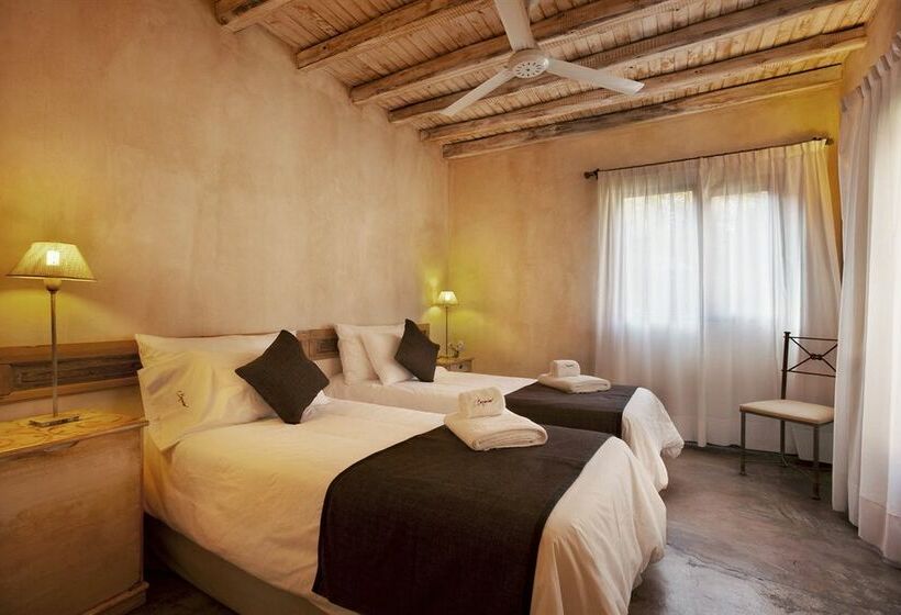 Hotel Posada Borravino