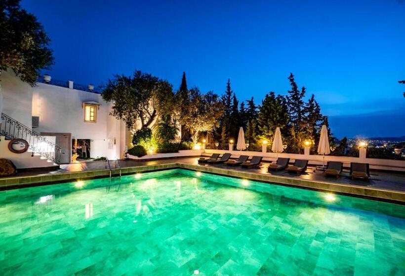 Manzara Boutique Hotel   Adults Only