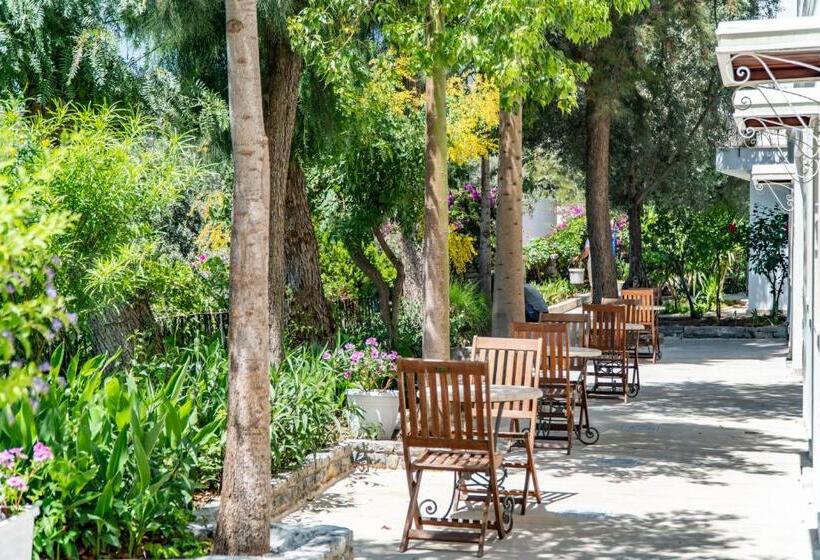 Manzara Boutique Hotel   Adults Only