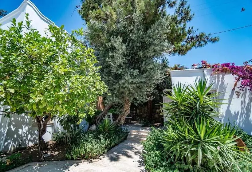 Manzara Boutique Hotel Adults Only