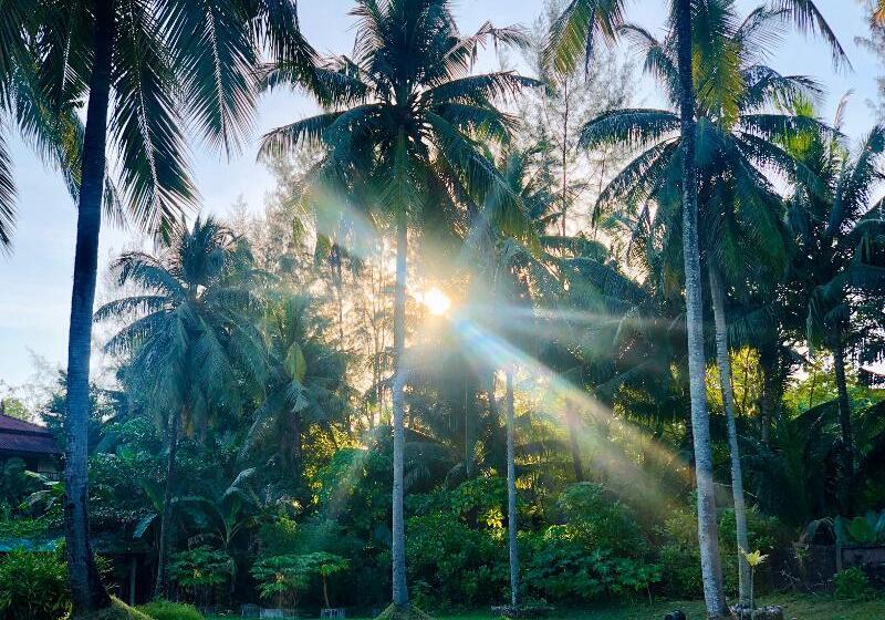 Palm Galleria Resort Sha Extra Plus